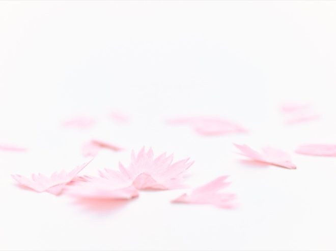 伝統的な花のかたちと色を持った「花色鉛筆」