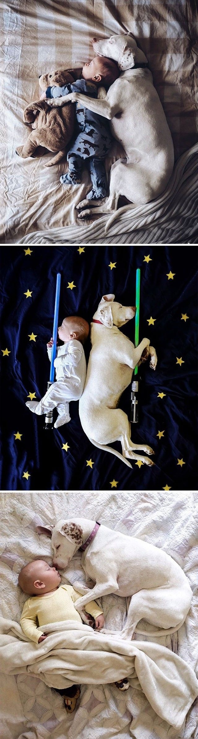 cute-kids-dogs-best-friends-friendship-2-5a8fd2973afa0__605_e