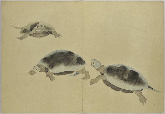 中村芳中「光琳画譜」