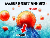 リンパ球バンク株式会社のプレスリリース画像