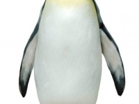 かつて南極に、人間を超える大きさのメガペンギンが存在していた（アルゼンチン研究）