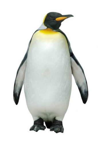 かつて南極に、人間を超える大きさのメガペンギンが存在していた（アルゼンチン研究）
