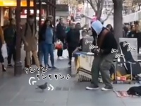 それにしてもこのハト、ノリノリである。ストリートミュージシャンの演奏に合わせて踊るハト