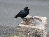 どうしたの？（画像はふみさん提供、編集部で一部トリミング）