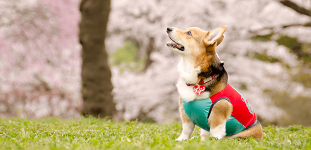 「Doctors Me（ドクターズミー）」コラム画像