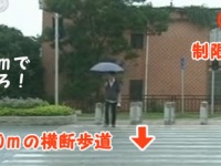 中国に存在する渡らせる気がまったくない横断歩道。ただし100メートルを5秒で走れれば可能。