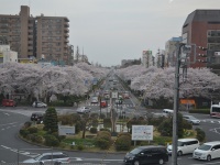 国立駅前（Stephane Dさん撮影、flickrより）