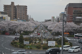 国立駅前（Stephane Dさん撮影、flickrより）
