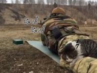 俺はここで支えといてやるから。男性と運命を共にすることを決意したバトルキャット（ロシア）