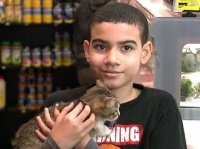 店の看板猫で自閉症の少年の心の支えだった愛猫が盗まれる。その後犯人は猫を返しに来て謝罪する（アメリカ）