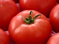 三つ星株式会社のプレスリリース画像