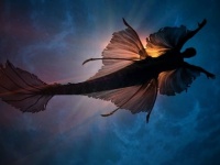 アフリカの海岸に打ち上げられたという人魚の映像が出回る。果たして本物なのか？