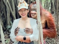オンリー森の賢人。女性の胸ぎゅう＆キスしても許されるのはオランウータンだけ