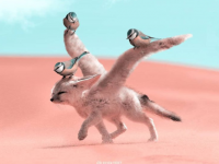 動物たちの写真にフォトショで魔法をかけてみた。リアルとバーチャルが交差するSFファンタジーなクリーチャーが誕生した。