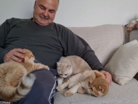 ねこざんまい。子猫たちに囲まれてうれしさがダダ洩れ中のお父さん