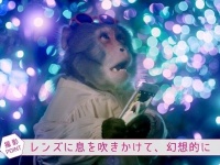 画像はプレスリリースから