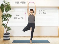 木のポーズの効果とやり方【ヨガの基本】