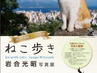 「ねこ歩き」