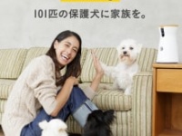 (c)『#save101dogs(セーブ・101・ドッグス)』
