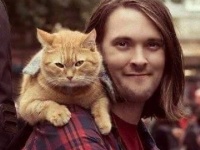 【R.I.P.】 ホームレスの人生を救った猫「ボブ」が永遠の眠りにつく（イギリス）