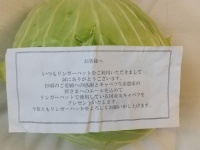 国産キャベツ1玉プレゼント（画像はあるぴの（＠Alpino305