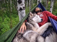 今すぐ犬と一緒に旅したくなる！「大自然の自由旅行＋犬」