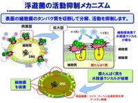 シャープ株式会社のプレスリリース画像