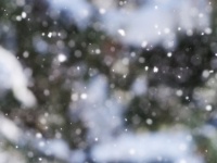 クリスマスの名曲を思い出した人も多いのでは？