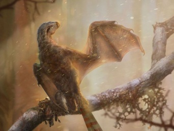 コウモリのような翼を持つ恐竜の化石が発見される。そこには恐竜が空を飛ぶための試行錯誤の痕跡が（中国）