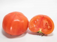 実は、今が「美味しい時期」です（画像はイメージ）