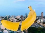 これがホントの中折れ？　ＳＥＸ中、ペニスが折れてしまった悲惨な男の話