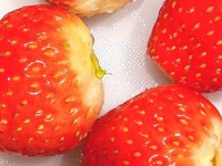 「この写真で泣ける」　赤ちゃんのために...母が作った〝甘やかし先っぽセット〟に詰まった愛が深すぎる