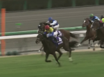 残念… 名馬ディープインパクト死す！