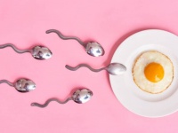 男性の精子数は本当に減少しているのか？それよりも大幅な質の低下が起きているとする新研究