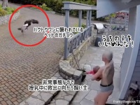 授乳しながら裸足で外に飛び出し、ハクトウワシからペットのガチョウを救う飼い主女性
