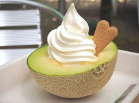 メロン好きの楽園！狩りや試食をまるっと楽しめる、茨城の「メロンの森」までドライブ
