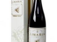 株式会社彩寿堂のプレスリリース画像