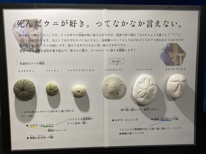 狂気的なまでの愛