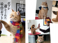 辰巳出版株式会社のプレスリリース画像