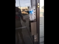これはお見事！どこに投げてもペットボトルを着地させるスゴ技動画が話題に