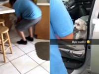 父親が10年来の愛犬を犬の美容室に連れて行ったのだが、何食わぬ顔で別の犬と一緒に帰ってきた件