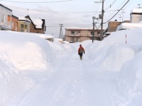 ​大寒波スタート。ゲリラ雪に注意