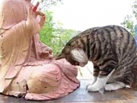 ときにはスピリチュアルな安らぎはいかが？仏像に恋した猫たちの写真集