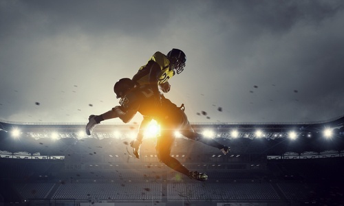 （C）Sergey Nivens / Shutterstock