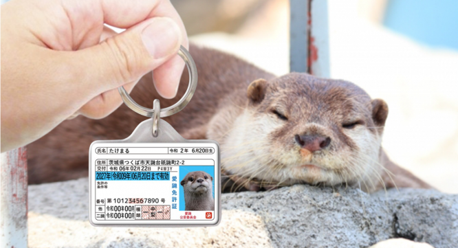 Daydream Labのプレスリリース画像