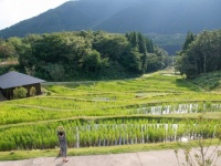棚田の絶景が広がる！　星野リゾートの新温泉旅館「界 由布院」