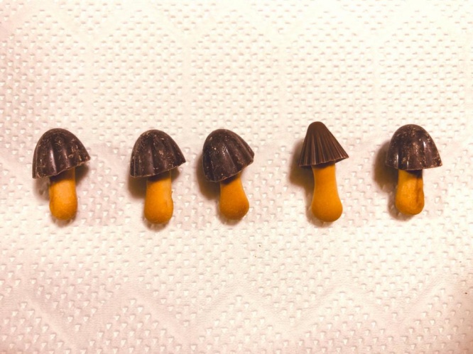 左からきのこ、きのこ、きのこ、きの......んん？（画像はキタ（＠xaqwsx）さんのツイッターより）