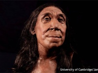 7万5000年前のネアンデルタール人女性の顔の復元に成功