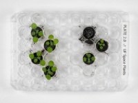 月の土で植物を栽培することに成功。ただしはあまり好みの土ではない模様