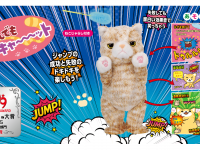 イワヤ株式会社のプレスリリース画像